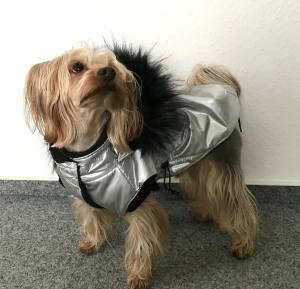 Dicke Hunde Winterjacke mit Fell SILVER
