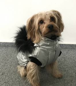 Dicke Hunde Winterjacke mit Fell SILVER