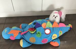 Hundebett Dinosaurier türkisblau Lustiges Hundebett