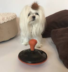 Hunde Dog Activity Snack-Kreisel, Naturgummi/Plastik Level 3