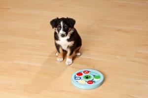Hunde Doggy Brain Train Candy