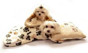 Doppelseitiger Bademantel für Hunde XL BROWN  PAW EINZELSTÜCK