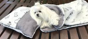 Doppelseitiger Bademantel für Hunde KNOCHEN GRAU