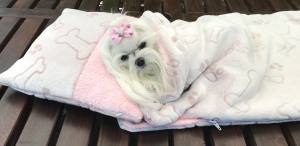 Doppelseitiger Bademantel für Hunde KNOCHEN ROSA