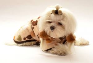 Doppelseitiger Bademantel für Hunde PAW BEIGE