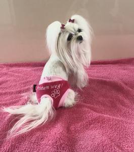 Doppelseitiges Badetuch für Hunde TATZE