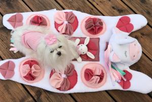 EINHORN Schnüffelteppich Spielteppich für Hunde,Katzen,Welpen