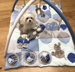 ESEL Schnüffelteppich mit Bögen für Hunde,Katzen,Welpen