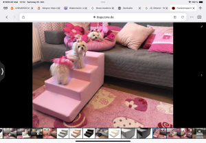 Ersatzbezug für Dogszone Hundetreppe KUNSTLEDER  Gr.S/4 Ersatzbezug für Dogszone Hundetreppe KUNSTLEDER  Gr.S/4