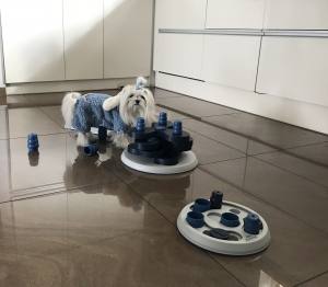 Hunde Flip Board Strategiespiel Level2