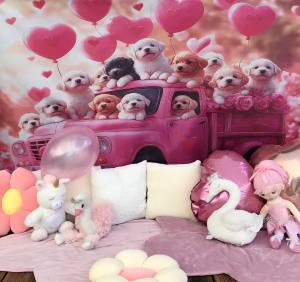 Fotohintergrund pink/Rosa Hunde