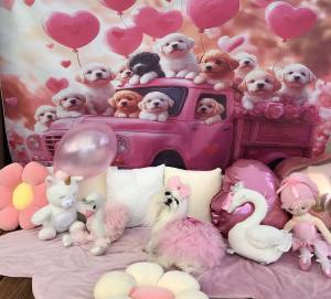 Fotohintergrund pink/Rosa Hunde