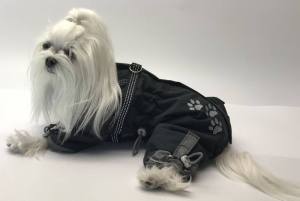 *GREY ANTHRAZIT PAWS *Wintermantel Schal/Geschirr kurze Beine für Hunde