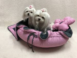 Hundebett GREY-ROSE FLOWER  Limited Edition