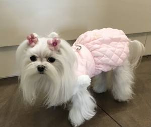 Gesteppte Winterjacke PINK  DREAM mit Leine