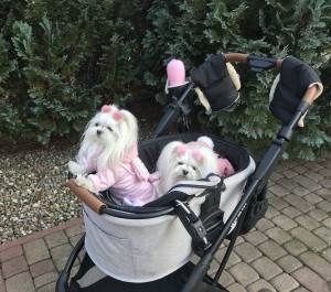 Gesteppte Winterjacke Rosa Hase