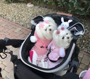 Gesteppte Winterjacke Rosa Hase