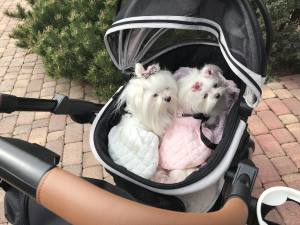Gesteppte Winterjacke PINK  DREAM mit Leine