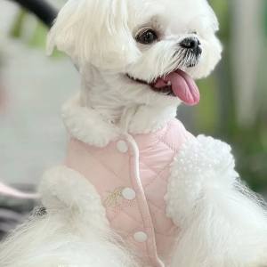 Gesteppte Winterjacke PINK  DREAM mit Leine