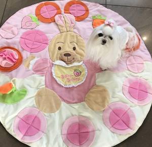HÄSCHEN Schnüffelteppich Spielteppich für Hunde,Katzen,Welpen
