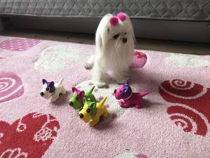 Hunde Spielzeug kleiner Freund für Ihren Hund