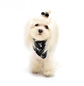 Halstuch/Halsband 2 in  1 * SKULL BLACK *bis Gr.5