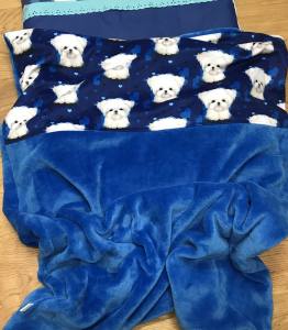 Hunde Bettdecke mit Kissen Blau Malteser HANDMADE