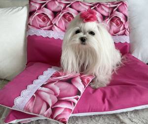 Hunde Bettdecke mit Kissen ROSEN