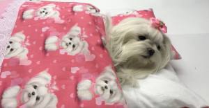 Hunde Bettdecke mit Kissen Rosa Malteser HANDMADE