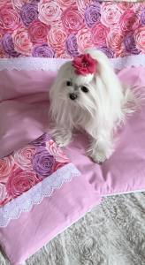 Hunde Bettdecke mit Kissen BLUMEN