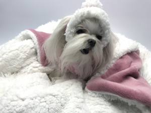 Hunde Bommelmütze ALTROSA-WEISS