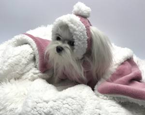 Hunde Bommelmütze ALTROSA-WEISS