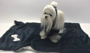 Hunde Bommelmütze DUNKLEBLAU-WEISS