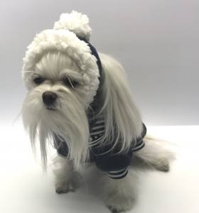 Hunde Bommelmütze DUNKLEBLAU-WEISS