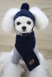 Hunde CAPPY DARKBLUE SNOW DOG + Schal
