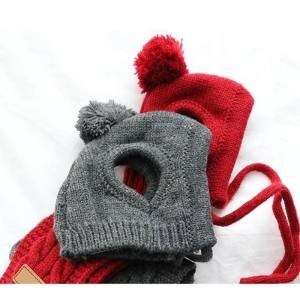 Hunde CAPPY DARKRED SNOW DOG + Schal