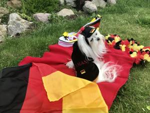 Hunde Cappy DEUTSCHLAND