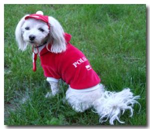 Hunde Cappy POLEN