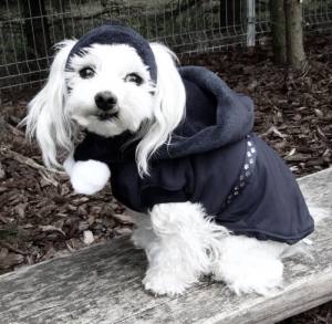 Hunde Cappy Wintermütze NESNA BLACK