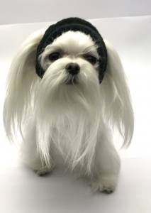 Hunde Cappy Wintermütze NESNA BLACK