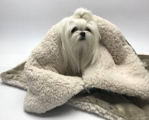Hunde-Decke Kuscheldecke BONE BRAUN