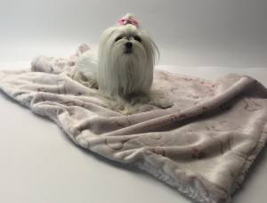 Hunde-Decke Kuscheldecke BONE ROSA