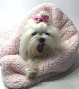 Hunde-Decke Kuscheldecke BONE ROSA
