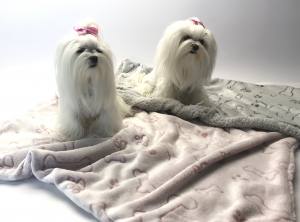 Hunde-Decke Kuscheldecke BONE ROSA