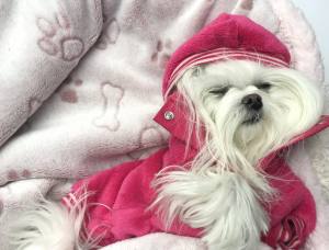 Hunde-Decke Kuscheldecke BONE ROSA