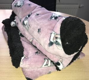 Hunde-Decke Kuscheldecke BULLDOGGE