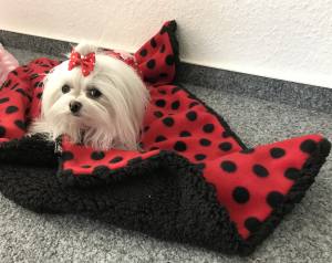 Hunde-Decke Kuscheldecke DOTS