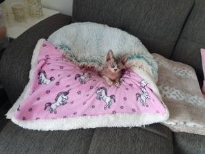 Hunde-Decke Kuscheldecke EINHORN