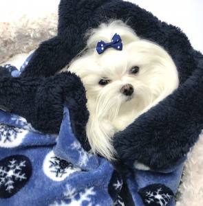 Hunde-Decke Kuscheldecke FLOCKE