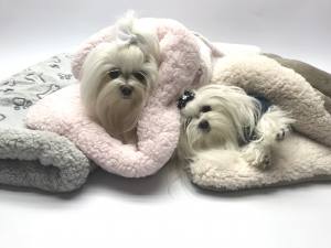 Hunde-Decke Kuscheldecke KNOCHEN